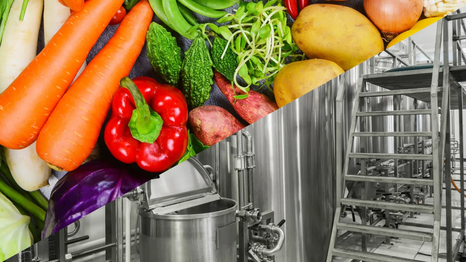 real food versus ultra-processed food